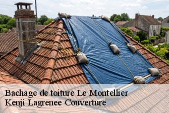 Bachage de toiture  le-montellier-01800 Kenji Lagrenee Couverture