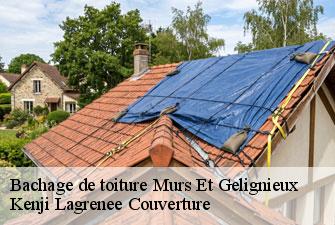 Bachage de toiture murs-et-gelignieux-01300 Kenji Lagrenee Couverture