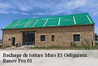Bachage de toiture  murs-et-gelignieux-01300 Renov Pro 01