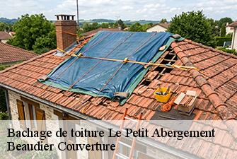 Bachage de toiture  le-petit-abergement-01260 Beaudier Couverture 