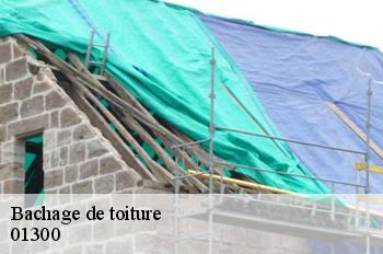 Bachage de toiture  peyrieu-01300 FC Toiture