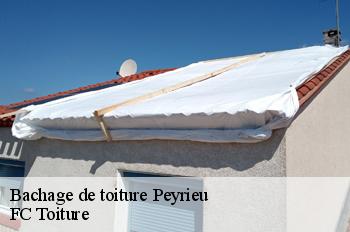Bachage de toiture  peyrieu-01300 FC Toiture