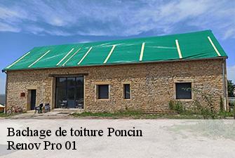 Bachage de toiture  poncin-01450 Renov Pro 01