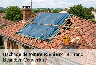 Bachage de toiture  rignieux-le-franc-01800 Beaudier Couverture 
