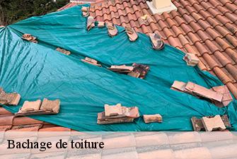 Bachage de toiture  saint-andre-de-bage-01380 Renov Pro 01
