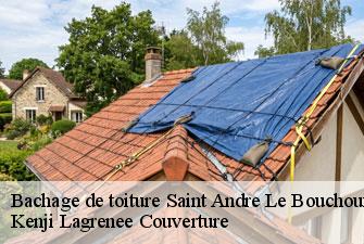 Bachage de toiture saint-andre-le-bouchoux-01240 Kenji Lagrenee Couverture