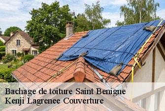 Bachage de toiture saint-benigne-01190 Kenji Lagrenee Couverture