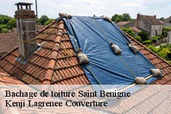 Bachage de toiture saint-benigne-01190 Kenji Lagrenee Couverture