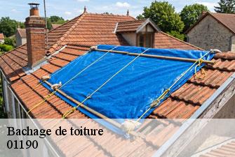 Bachage de toiture saint-benigne-01190 Kenji Lagrenee Couverture