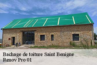 Bachage de toiture  saint-benigne-01190 Renov Pro 01