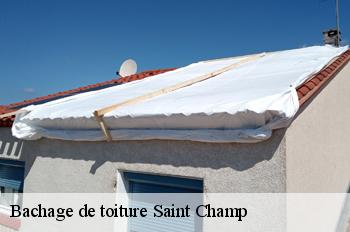 Bachage de toiture  saint-champ-01300 