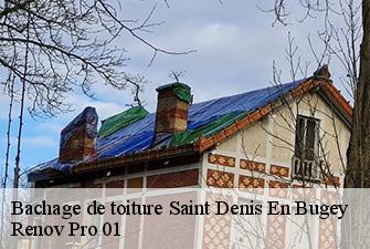 Bachage de toiture  saint-denis-en-bugey-01500 Renov Pro 01