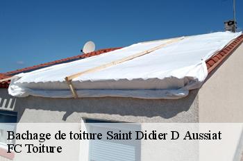 Bachage de toiture  saint-didier-d-aussiat-01340 FC Toiture