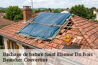 Bachage de toiture  saint-etienne-du-bois-01370 Beaudier Couverture 
