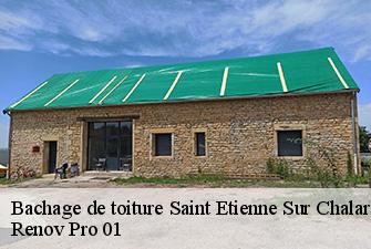 Bachage de toiture  saint-etienne-sur-chalaronne-01140 Renov Pro 01