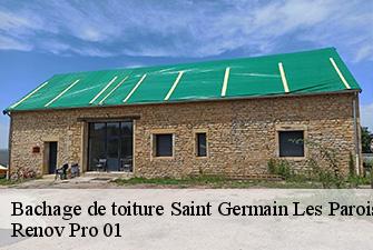 Bachage de toiture  saint-germain-les-paroisses-01300 Renov Pro 01