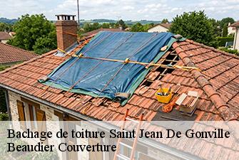 Bachage de toiture  saint-jean-de-gonville-01630 Beaudier Couverture 
