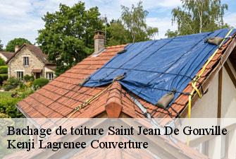 Bachage de toiture saint-jean-de-gonville-01630 Kenji Lagrenee Couverture