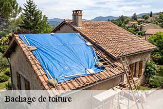 Bachage de toiture  saint-jean-le-vieux-01640 Beaudier Couverture 