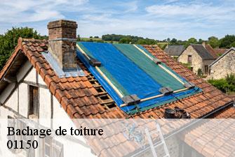 Bachage de toiture sainte-julie-01150 Kenji Lagrenee Couverture
