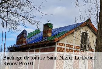 Bachage de toiture  saint-nizier-le-desert-01320 Renov Pro 01