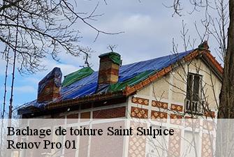 Bachage de toiture  saint-sulpice-01340 Renov Pro 01