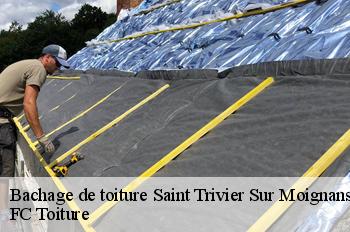 Bachage de toiture  saint-trivier-sur-moignans-01990 FC Toiture