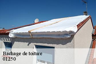 Bachage de toiture  simandre-sur-suran-01250 Renov Pro 01