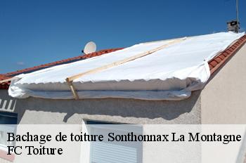 Bachage de toiture  sonthonnax-la-montagne-01580 FC Toiture