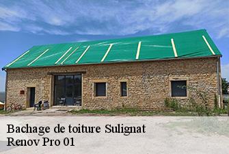 Bachage de toiture  sulignat-01400 Renov Pro 01