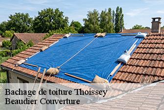Bachage de toiture  thoissey-01140 Beaudier Couverture 