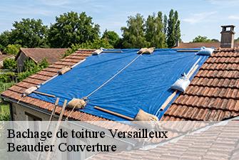 Bachage de toiture  versailleux-01330 Beaudier Couverture 