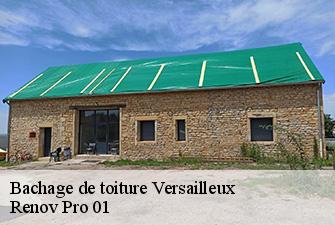 Bachage de toiture  versailleux-01330 Renov Pro 01