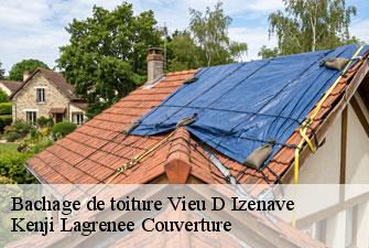 Bachage de toiture vieu-d-izenave-01430 Kenji Lagrenee Couverture