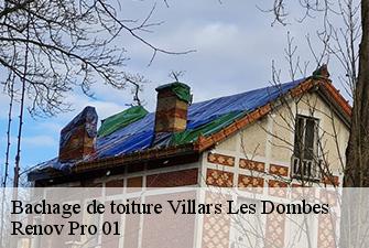 Bachage de toiture  villars-les-dombes-01330 Renov Pro 01