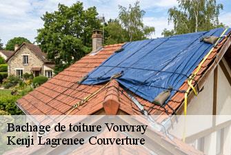 Bachage de toiture  vouvray-01200 Kenji Lagrenee Couverture