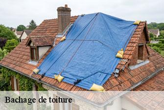 Bachage de toiture  vouvray-01200 Kenji Lagrenee Couverture