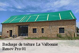 Bachage de toiture  la-valbonne-01360 Renov Pro 01