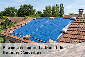 Bachage de toiture  le-mas-rillier-01700 Beaudier Couverture 