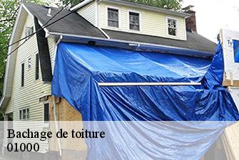 Bachage de toiture  brou-01000 Renov Pro 01