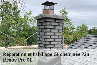 Réparation et habillage de cheminée 01 Ain Renov Pro 01