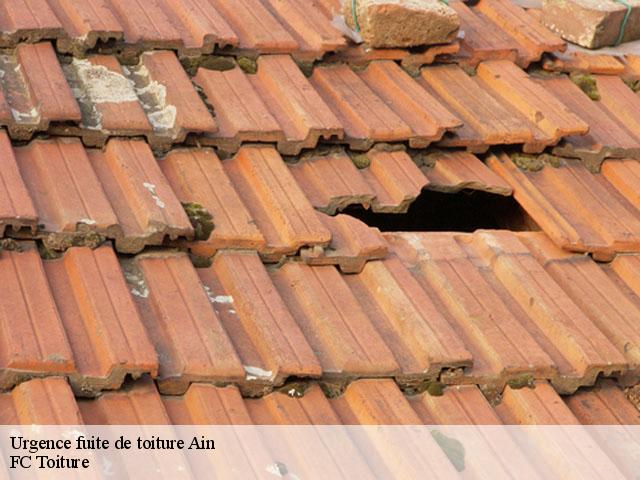 Urgence fuite de toiture 01 Ain  FC Toiture