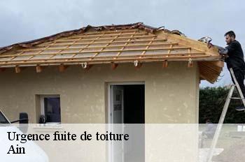 Urgence fuite de toiture 01 Ain  FC Toiture