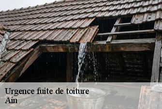 Urgence fuite de toiture 01 Ain  Kenji Lagrenee Couverture