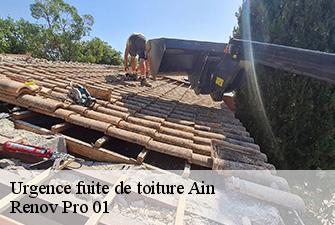Urgence fuite de toiture 01 Ain  Renov Pro 01