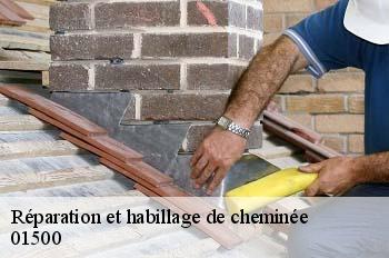 Réparation et habillage de cheminée  ambronay-01500 