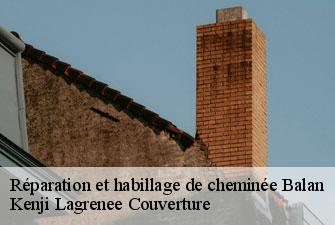 Réparation et habillage de cheminée  balan-01360 Kenji Lagrenee Couverture
