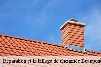 Réparation et habillage de cheminée  beaupont-01270 