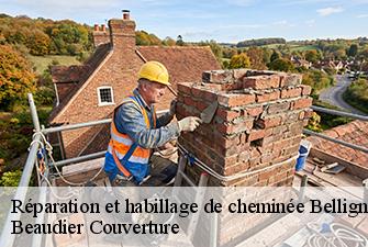 Réparation et habillage de cheminée  bellignat-01810 Beaudier Couverture 
