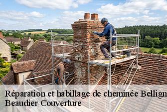 Réparation et habillage de cheminée  bellignat-01810 Beaudier Couverture 